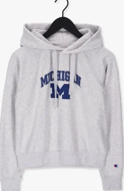 CHAMPION lichtgrijze trui hooded sweatshirt 115110><noscript><img width=
