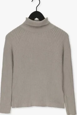 lichtgrijze esmé studios coltrui june roll neck knit