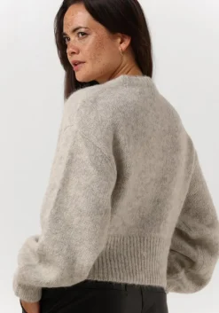 GESTUZ lichtgrijze trui diankagz pullover><noscript><img width=