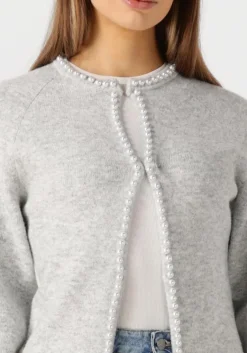 NEO NOIR lichtgrijze vest lily pearl knit cardigan><noscript><img width=