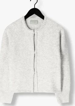 NEO NOIR lichtgrijze vest lily pearl knit cardigan><noscript><img width=