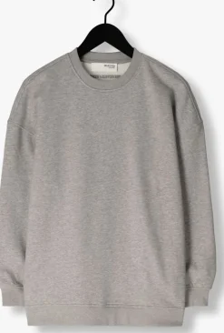 SELECTED FEMME lichtgrijze sweater slfgia yrsa ls crew neck sweat><noscript><img width=