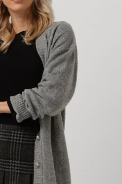 VANILIA lichtgrijze vest vikke><noscript><img width=