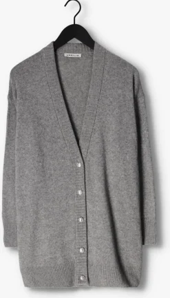 VANILIA lichtgrijze vest vikke><noscript><img width=