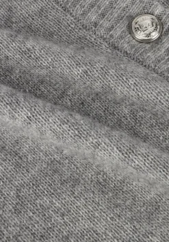 VANILIA lichtgrijze vest vikke><noscript><img width=