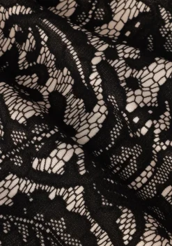 VANILIA mini jurk lace shift dress><noscript><img width=