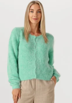 AMERICAN VINTAGE vest niby>DAMES Truien & Vesten