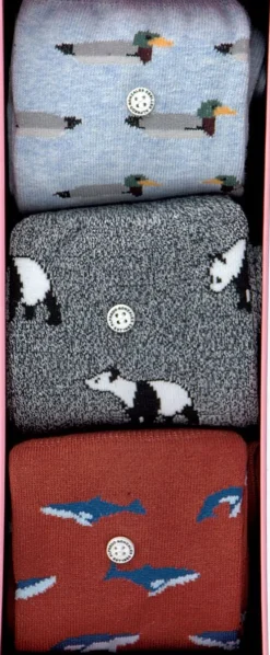 multi alfredo gonzales sokken animals box