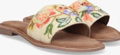 LAZAMANI teenslippers la75027>DAMES Slippers