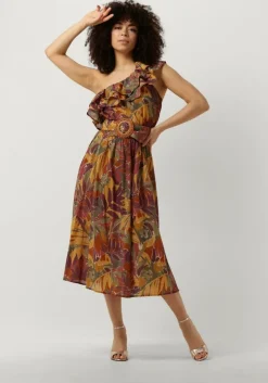 multi louizon midi jurk saguaro