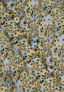 SCOTCH & SODA mini jurk easy raglan sheer dress><noscript><img width=