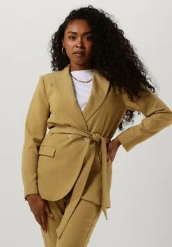 olijf aaiko blazer perize vis 333