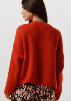 AMAYA AMSTERDAM trui bobbie knitwear><noscript><img width=