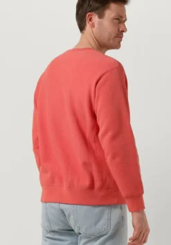 CHAMPION sweater crewneck sweatshirt><noscript><img width=