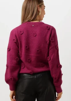 paarse fabienne chapot trui josefin pullover