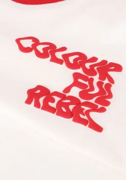 COLOURFUL REBEL rode t-shirt logo wave ringer boxy tee><noscript><img width=