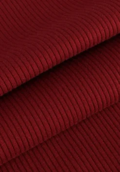 INWEAR rode tops & t-shirts dagnaiw t-shirt ls><noscript><img width=