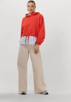 rode tommy jeans sweater tjw crp gmd script hoodie