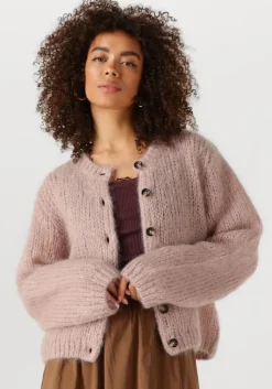 INWEAR vest jetraiw cardigan>DAMES Truien & Vesten