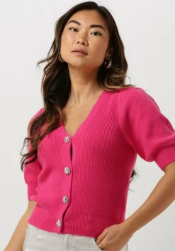 roze janice vest vic