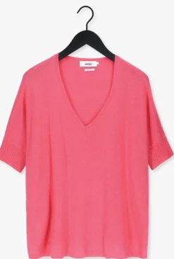 roze not shy trui aimee