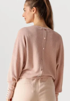 roze nukus top batwing pullover lurex