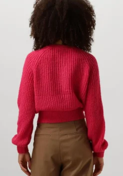 roze ydence vest cardigan lotta