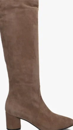 STEFANO LAURAN hoge laarzen giusy 3>DAMES Laarzen