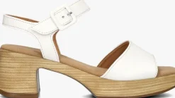 GABOR te sandalen 721.1.0>DAMES Sandalen