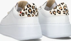 witte gio+ lage sneakers pia