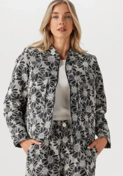 IBANA te jack jaidy>DAMES Jassen