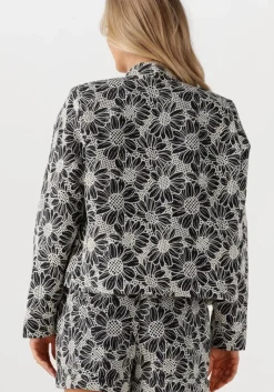 IBANA te jack jaidy><noscript><img width=