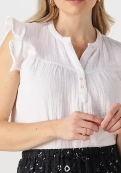 MOLIIN te top elin><noscript><img width=