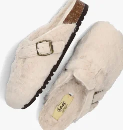 SCHOLL te instappers fae><noscript><img width=