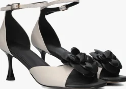 witte toral pumps rita