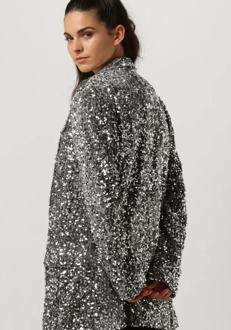 zilveren notre-v blazer nv-christine glitter velvet blazer