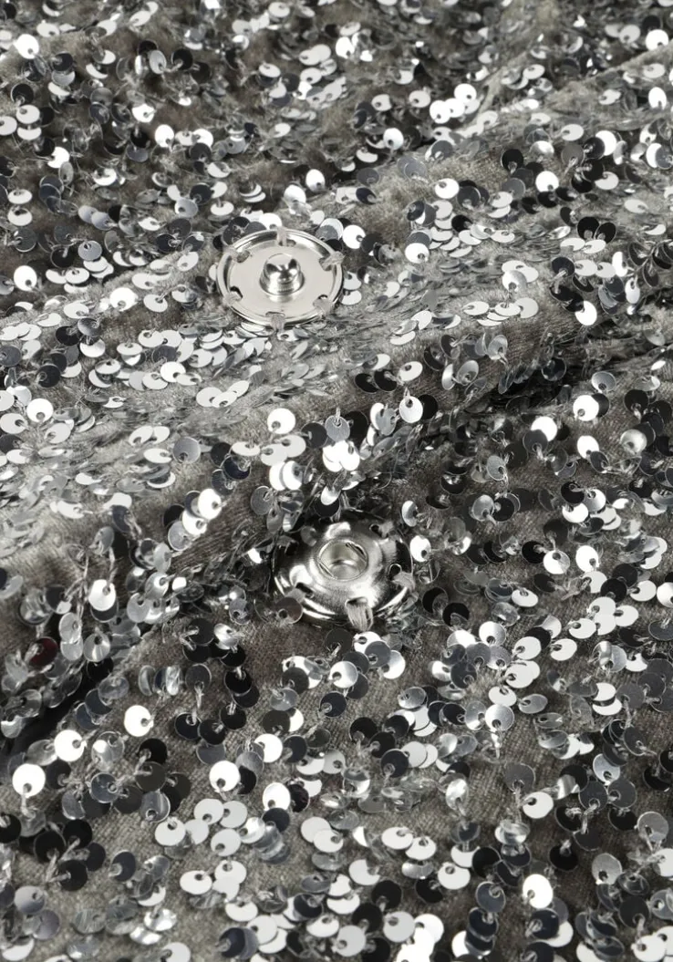 zilveren notre-v blazer nv-christine glitter velvet blazer