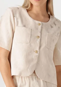 zilverkleurig amaya amsterdam blazer silver