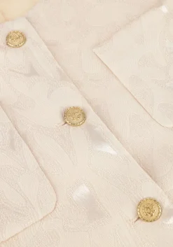 zilverkleurig amaya amsterdam blazer silver