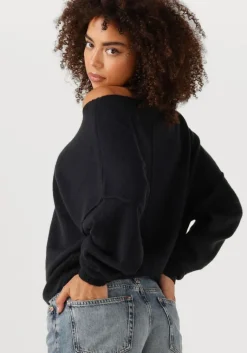 AMERICAN VINTAGE e trui damsville><noscript><img width=