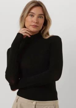 CC HEART e coltrui lana turtleneck>DAMES Truien & Vesten