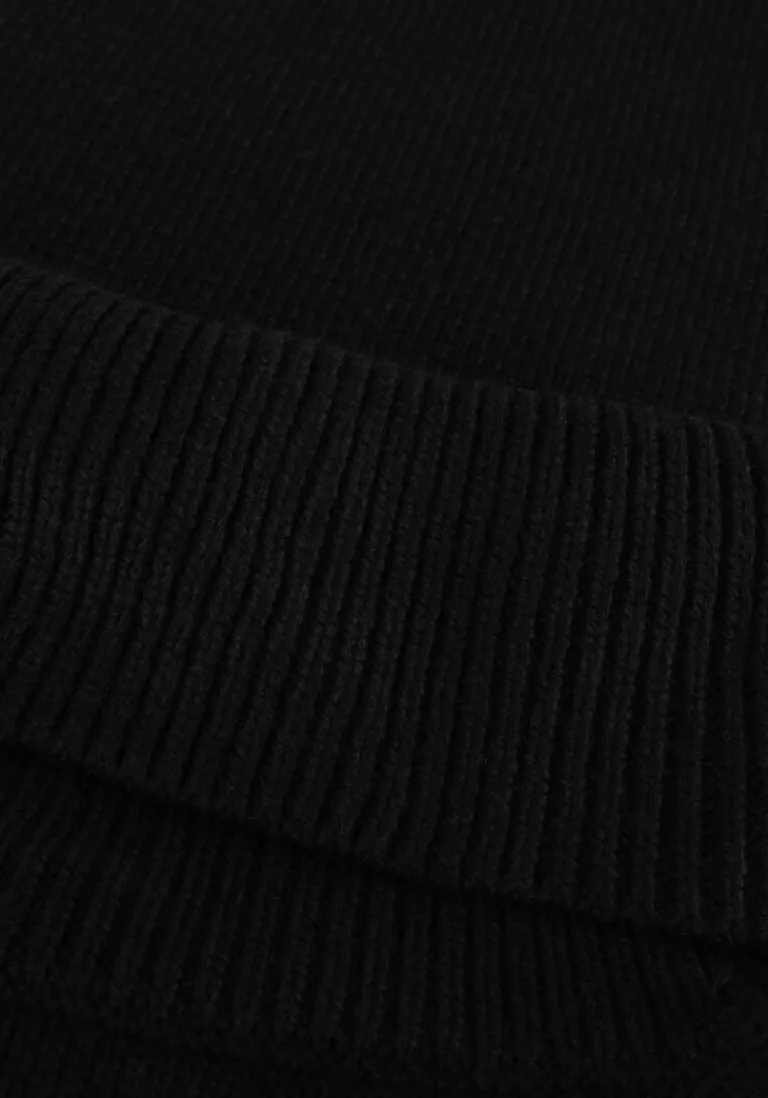 CO'COUTURE e co'couture coltrui maja roll neck>DAMES Truien & Vesten