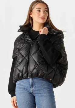 DEBLON SPORTS e bodywarmer stevie>DAMES Jassen