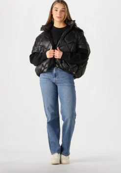 DEBLON SPORTS e bodywarmer stevie>DAMES Jassen