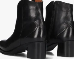 EVERYBODY e enkellaarsjes elvia><noscript><img width=