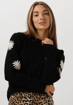 FABIENNE CHAPOT e trui biba pullover>DAMES Truien & Vesten