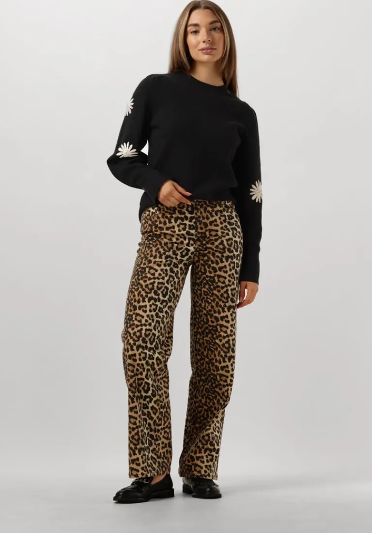 FABIENNE CHAPOT e trui biba pullover>DAMES Truien & Vesten