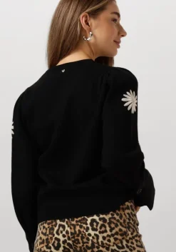FABIENNE CHAPOT e trui biba pullover><noscript><img width=