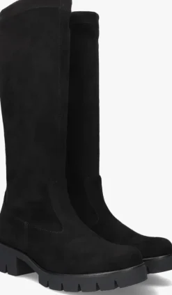 GABOR e hoge laarzen 719>DAMES Laarzen