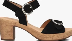 GABOR e sandalen 764.1>DAMES Sandalen